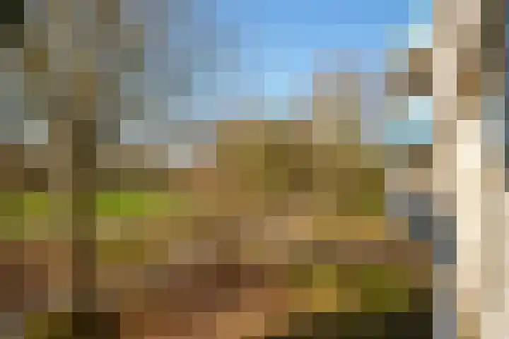 Banjostraat 47 Almere thumbnail 23