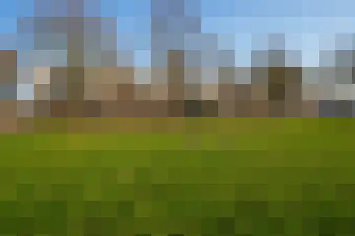 Banjostraat 47 Almere thumbnail 31