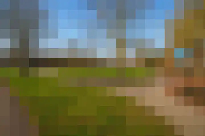 Banjostraat 47 Almere thumbnail 33