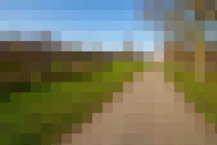 Banjostraat 47 Almere thumbnail 35