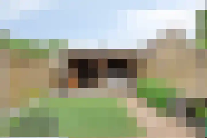 Banjostraat 60 Etten-Leur thumbnail 29