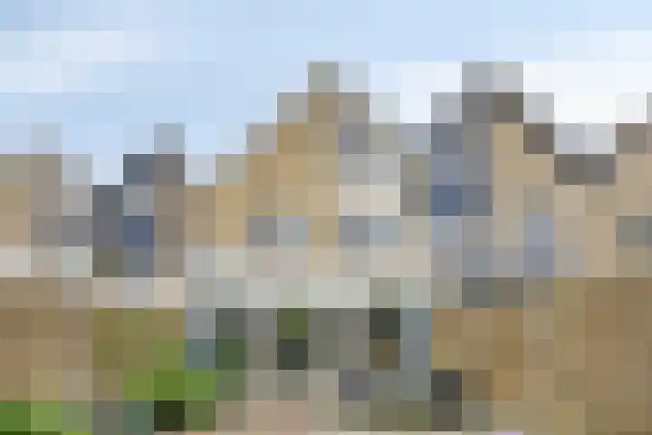 Banjostraat 60 Etten-Leur thumbnail 30
