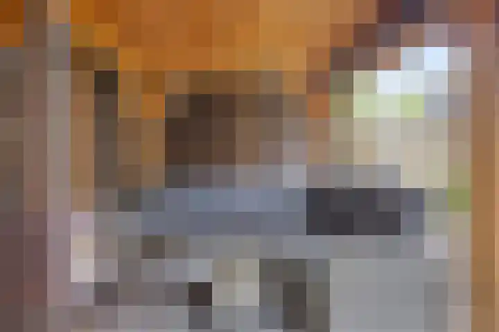 Banjostraat 60 Etten-Leur thumbnail 31