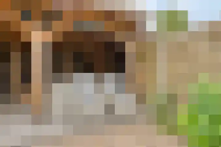 Banjostraat 60 Etten-Leur thumbnail 33