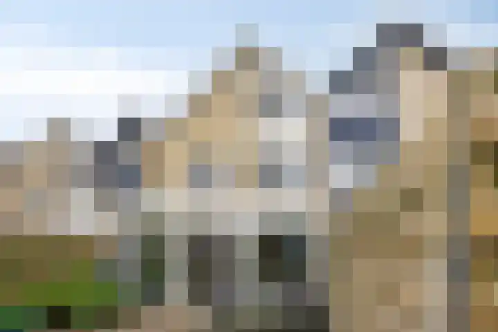 Banjostraat 60 Etten-Leur thumbnail 36