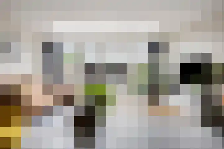 Banjostraat 60 Etten-Leur thumbnail 7