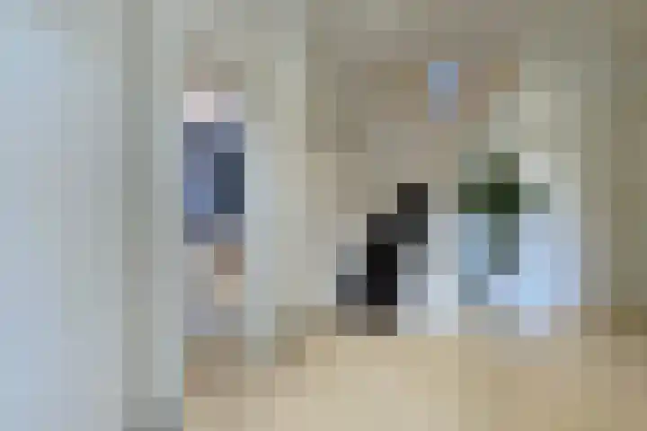 Bankaplein 1 A Den Haag thumbnail 11
