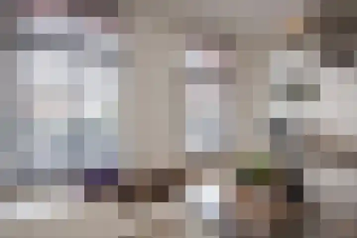 Bankaplein 1 A Den Haag thumbnail 14
