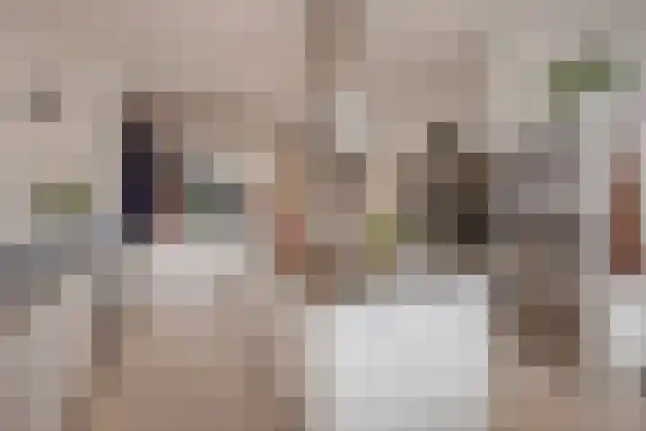 Bankaplein 1 A Den Haag thumbnail 15