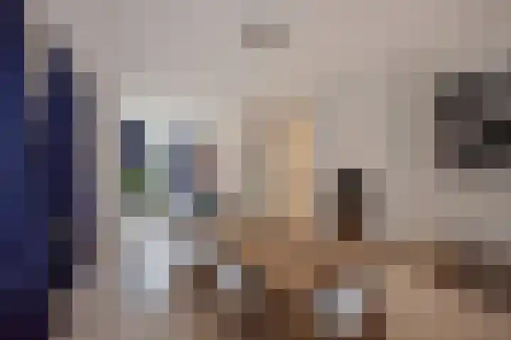 Bankaplein 1 A Den Haag thumbnail 16