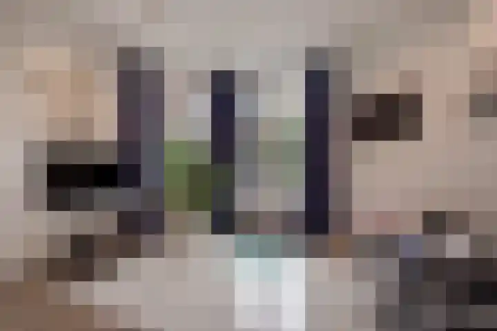 Bankaplein 1 A Den Haag thumbnail 17