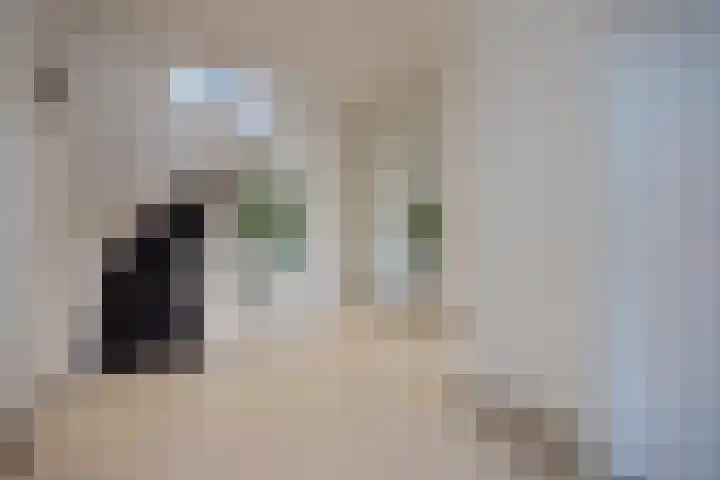 Bankaplein 1 A Den Haag thumbnail 22
