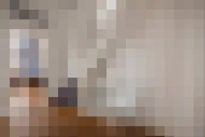 Bankaplein 1 A Den Haag thumbnail 34