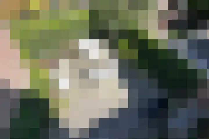 Bankaplein 1 A Den Haag thumbnail 53