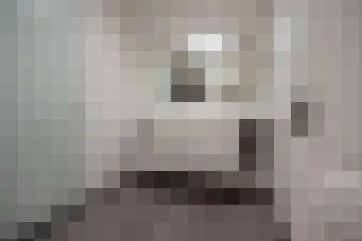 Bankaplein 1 A Den Haag thumbnail 59