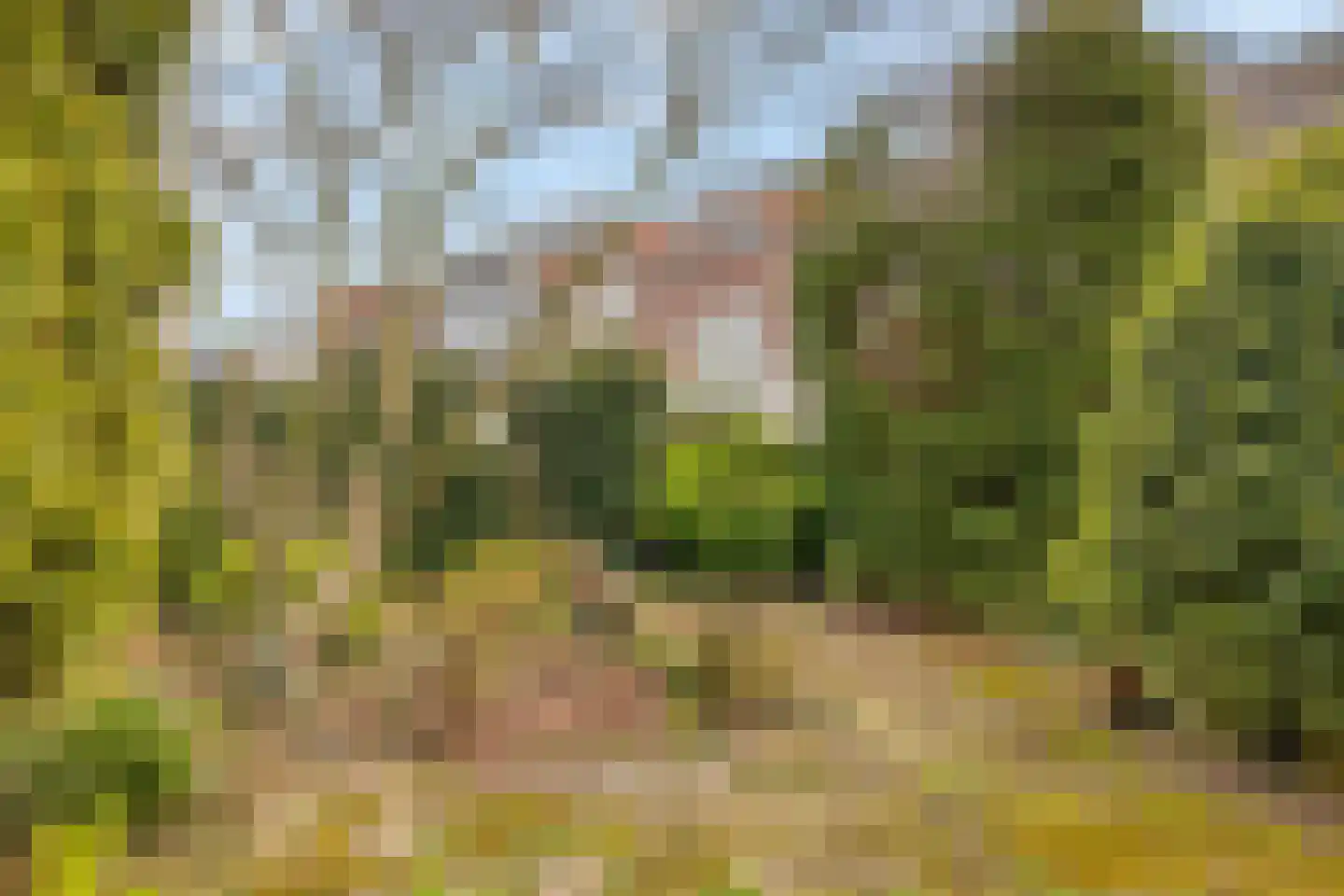 Bankaplein 18 Utrecht thumbnail 18