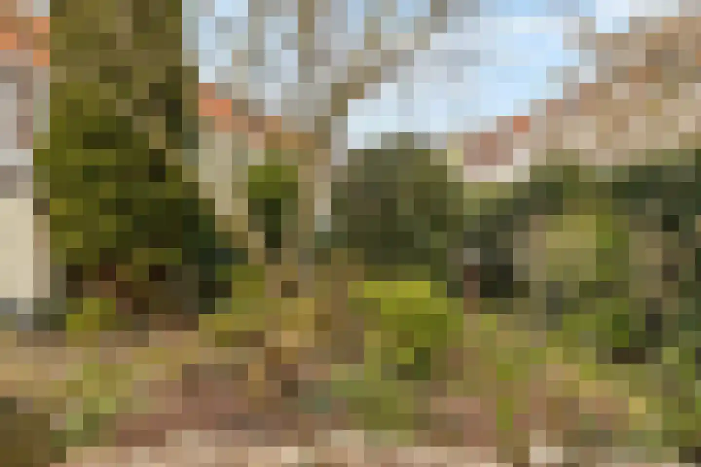 Bankaplein 18 Utrecht thumbnail 19