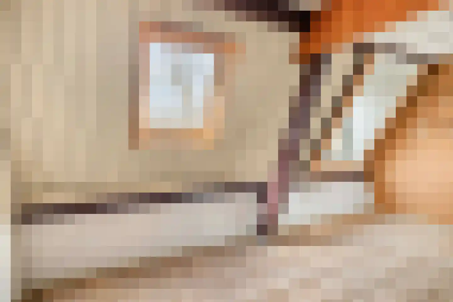 Bankaplein 18 Utrecht thumbnail 34