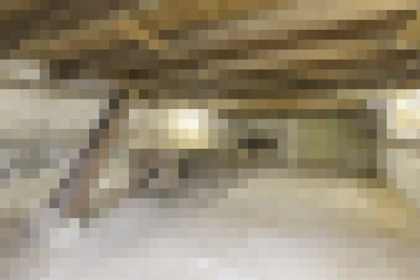 Bankaplein 18 Utrecht thumbnail 36