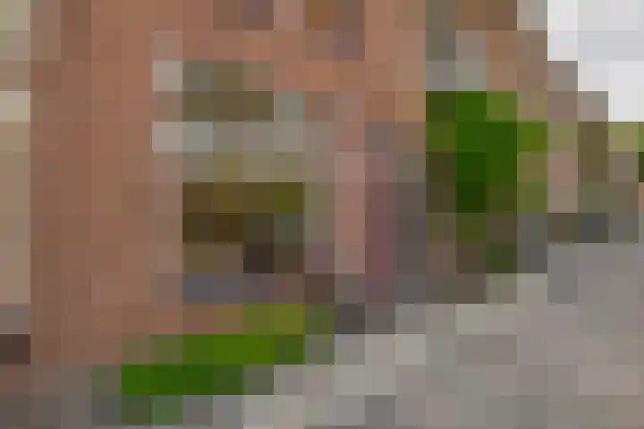 Bankaplein 29 Utrecht thumbnail 11