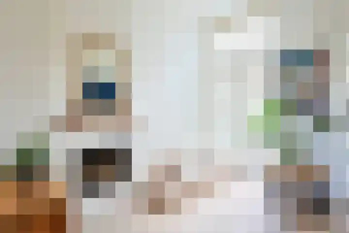 Bankaplein 9 Utrecht thumbnail 10
