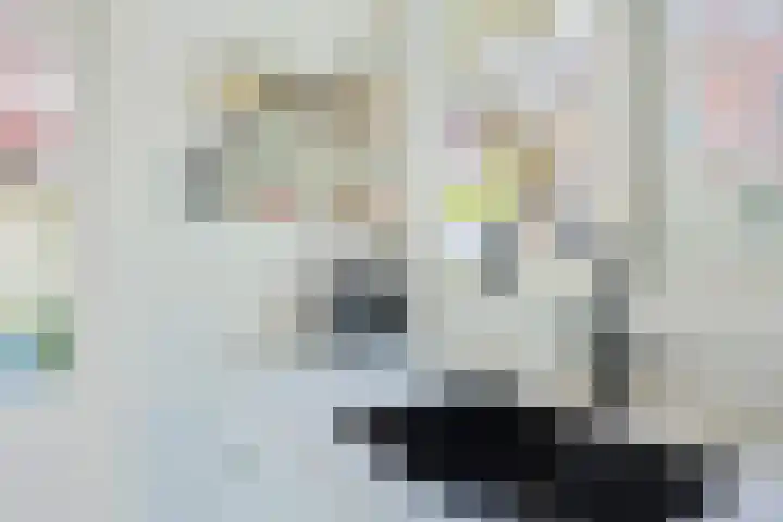 Bankaplein 9 Utrecht thumbnail 16