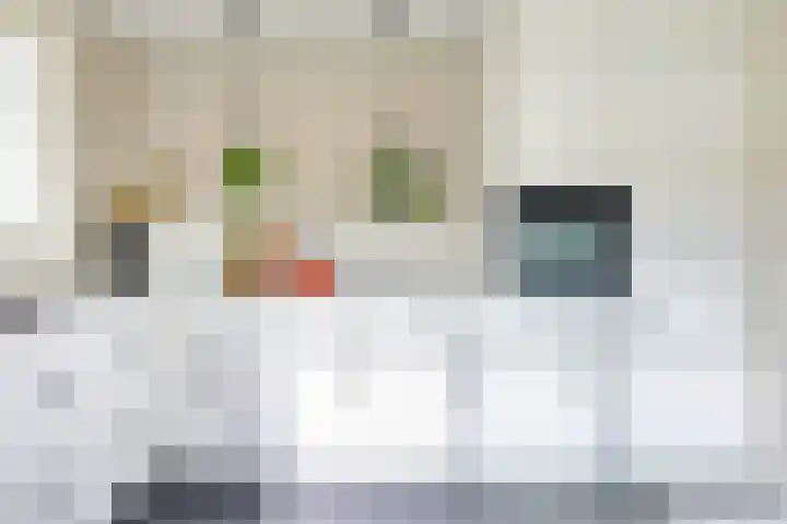 Bankaplein 9 Utrecht thumbnail 17