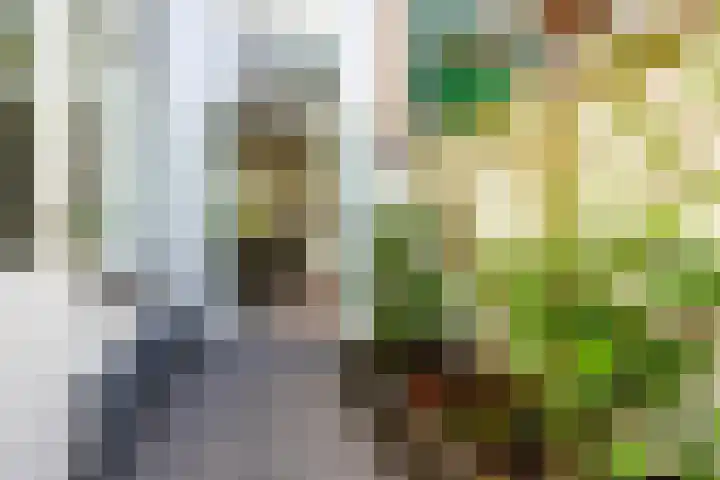 Bankaplein 9 Utrecht thumbnail 21