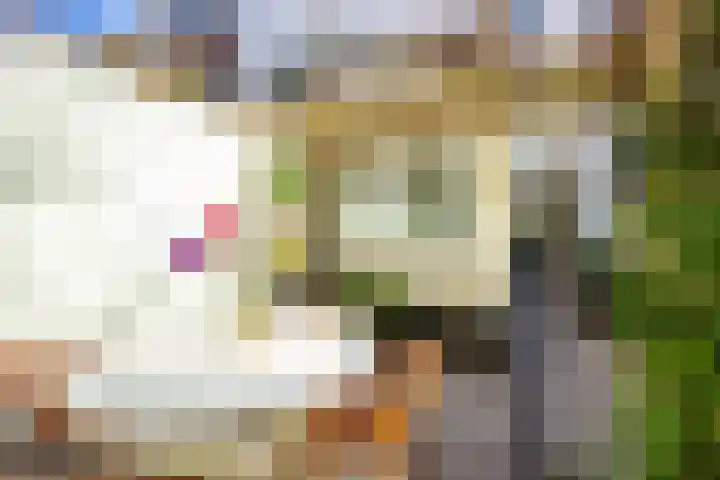 Bankaplein 9 Utrecht thumbnail 4