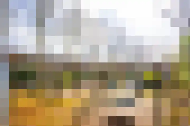 Bankaplein 9 Utrecht thumbnail 56