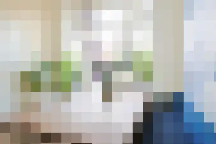 Bankaplein 9 Utrecht thumbnail 8