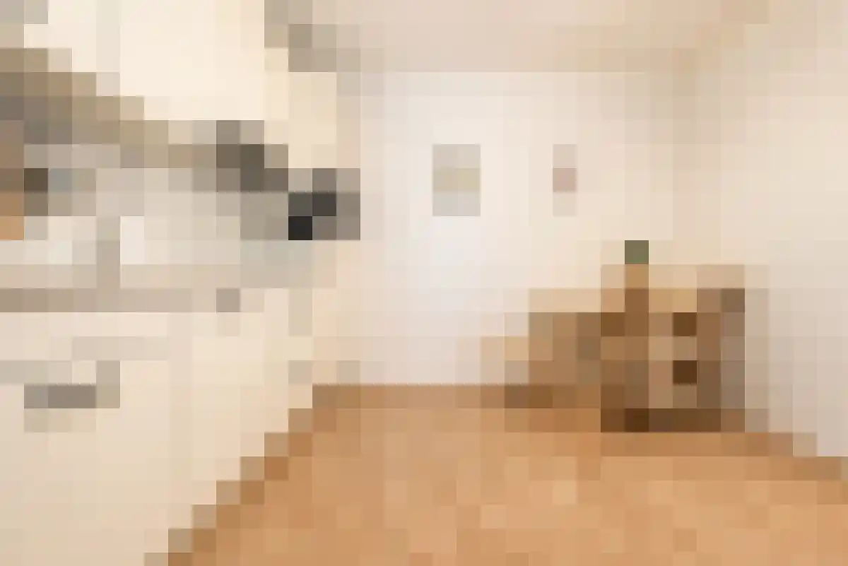 Bankastraat 1 F Amsterdam thumbnail 4
