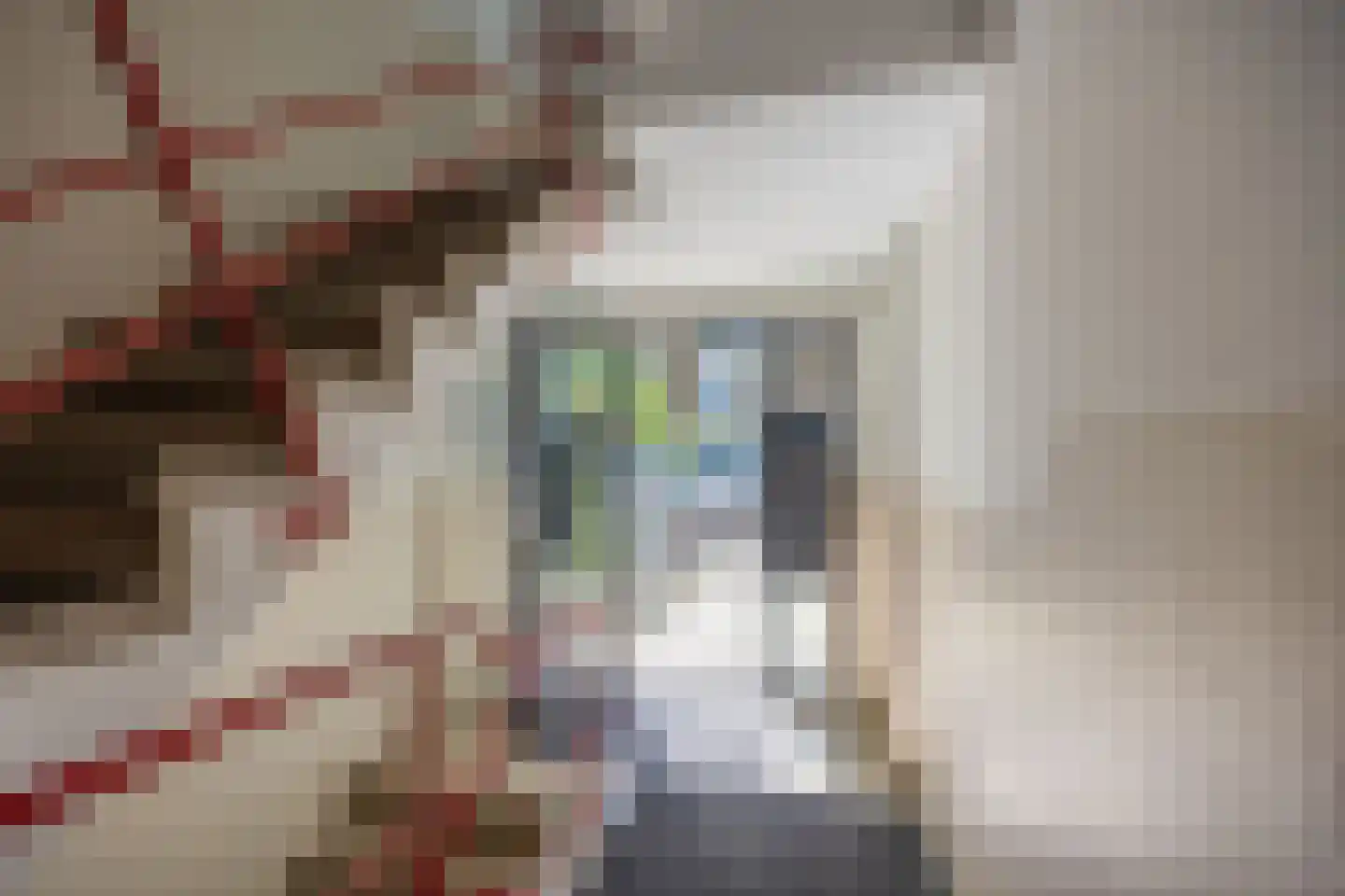 Bankastraat 10 Nijmegen thumbnail 4