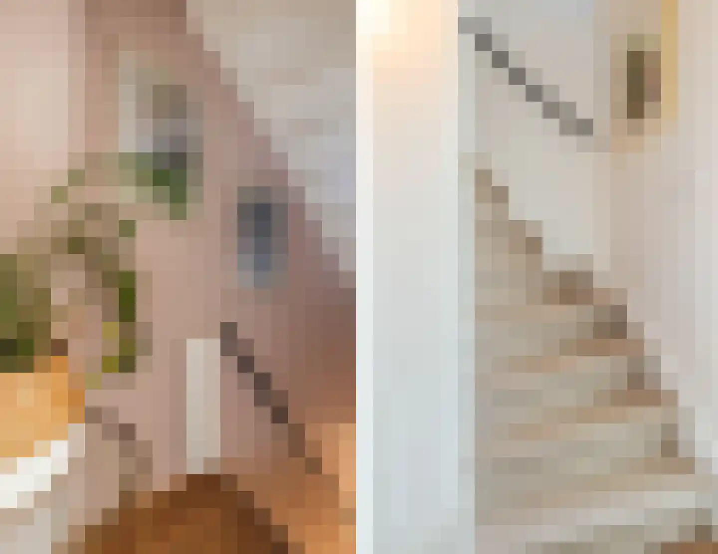 Bankastraat 11 Utrecht thumbnail 56