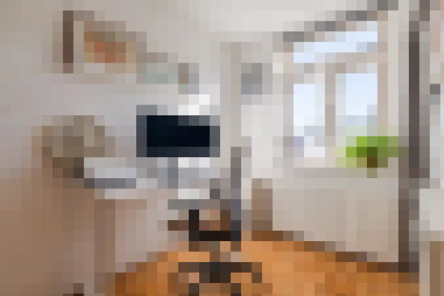 Bankastraat 11 Utrecht thumbnail 71