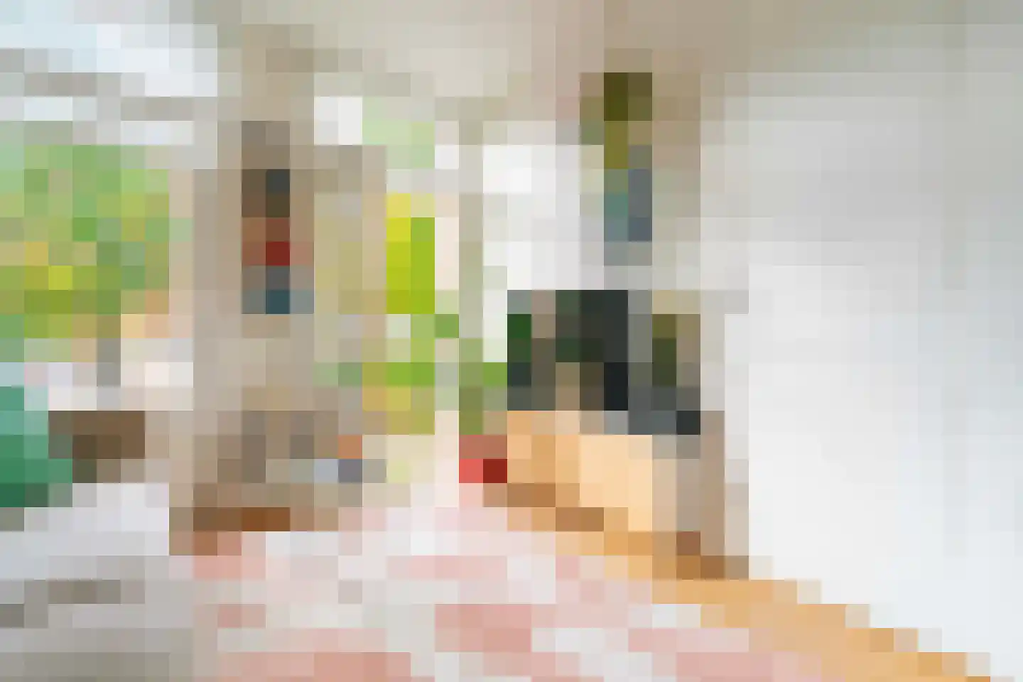 Bankastraat 17 B Amsterdam thumbnail 13