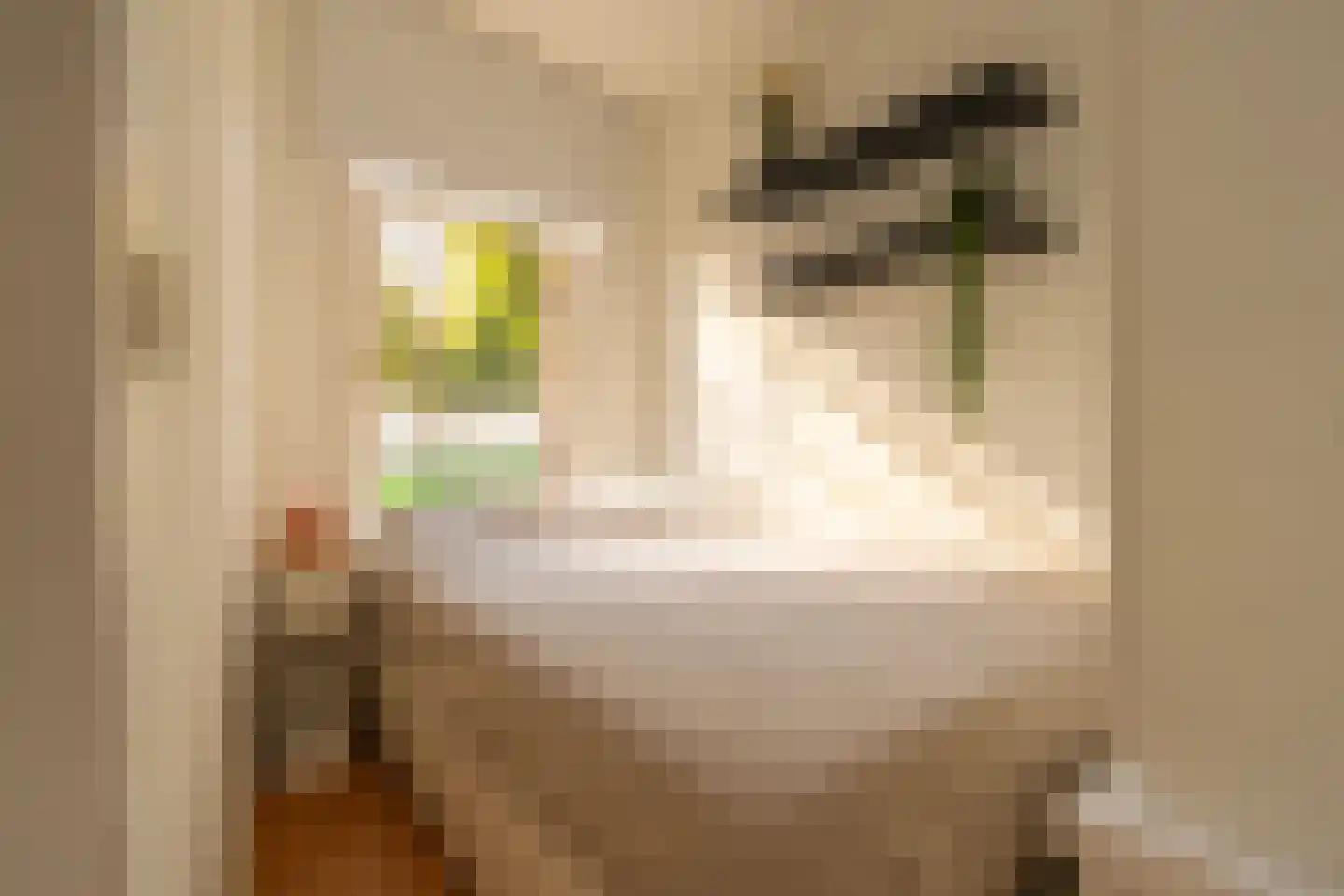 Bankastraat 17 B Amsterdam thumbnail 28