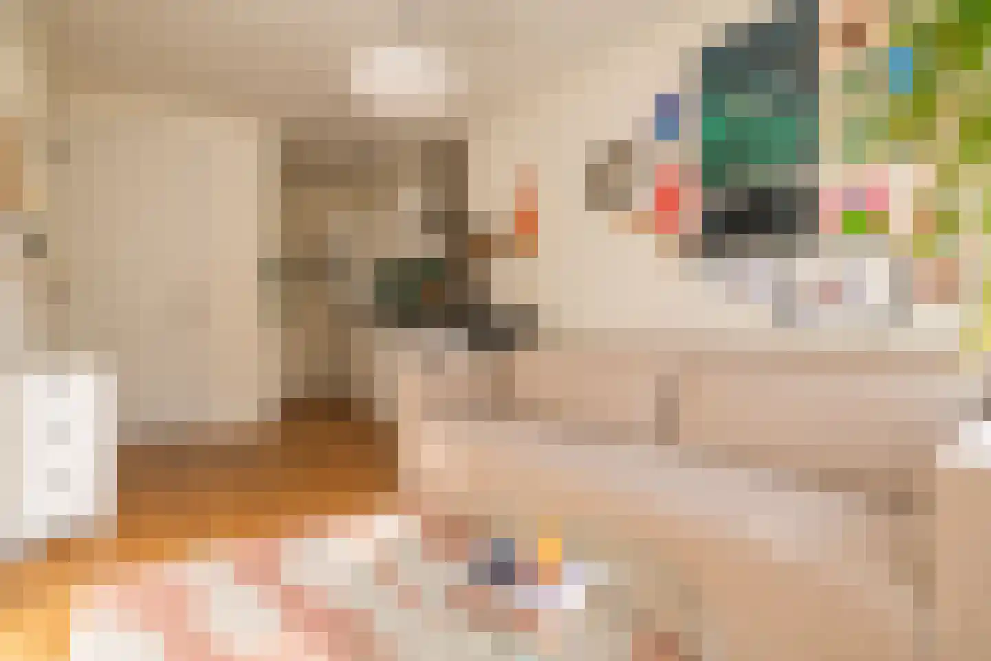Bankastraat 17 B Amsterdam thumbnail 9