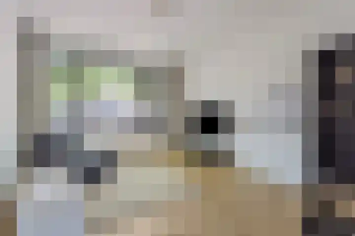 Bankastraat 17 Nijmegen thumbnail 12
