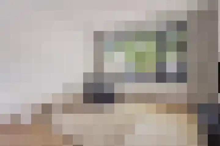 Bankastraat 17 Nijmegen thumbnail 13