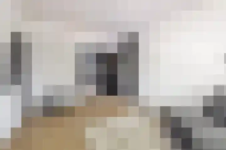 Bankastraat 17 Nijmegen thumbnail 14