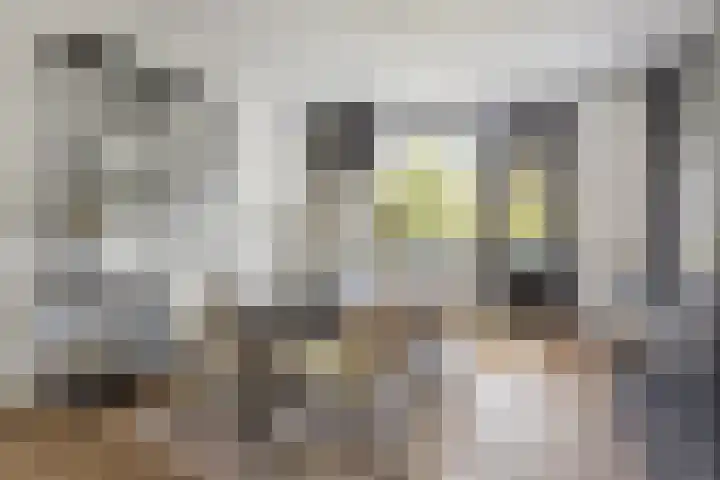 Bankastraat 17 Nijmegen thumbnail 15