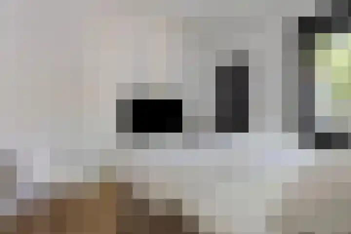 Bankastraat 17 Nijmegen thumbnail 21