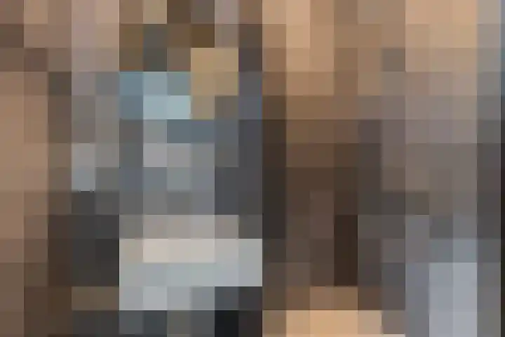 Bankastraat 17 Nijmegen thumbnail 22