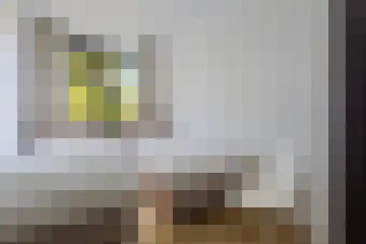 Bankastraat 17 Nijmegen thumbnail 23