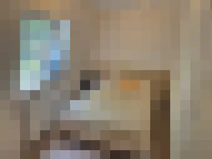 Bankastraat 2 C Zwolle thumbnail 13