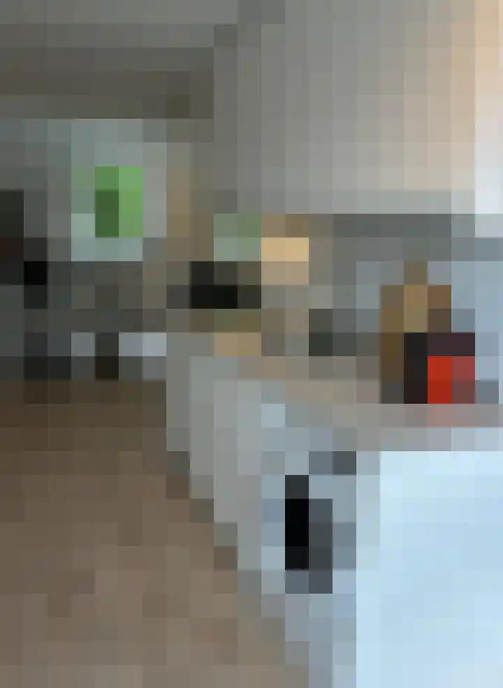 Bankastraat 2 F Zwolle thumbnail 4