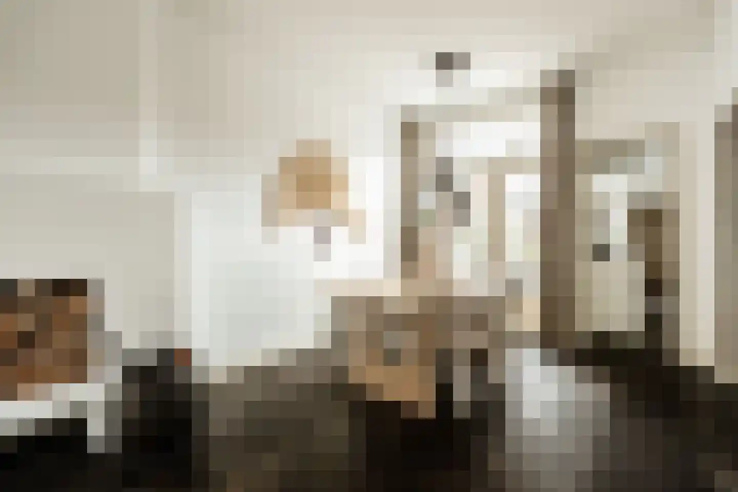 Bankastraat 20 Haarlem thumbnail 11