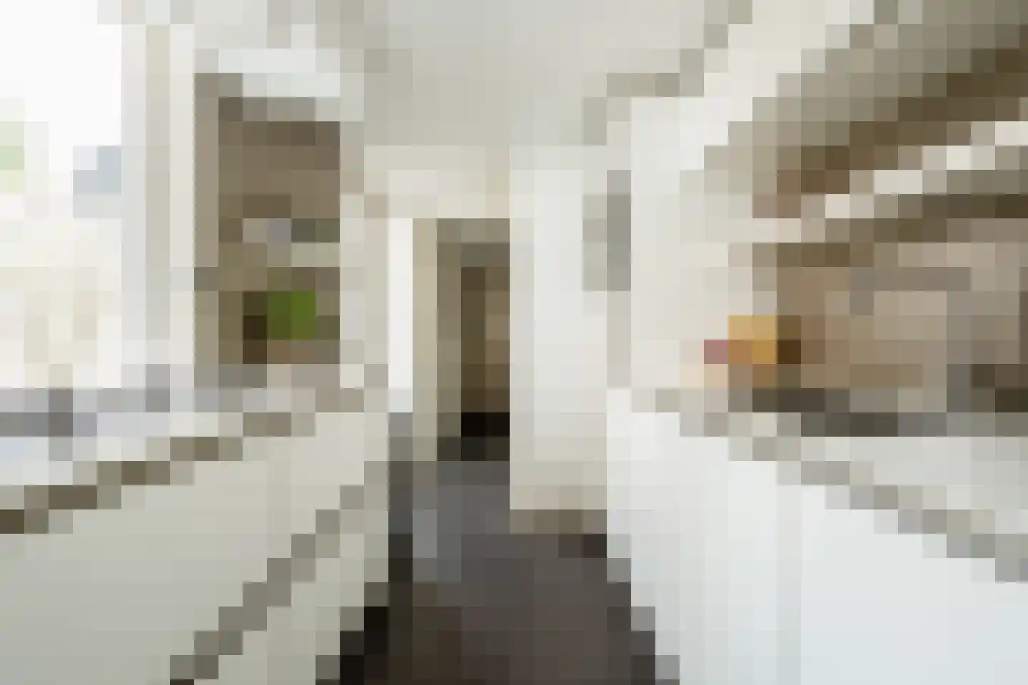 Bankastraat 20 Haarlem thumbnail 15