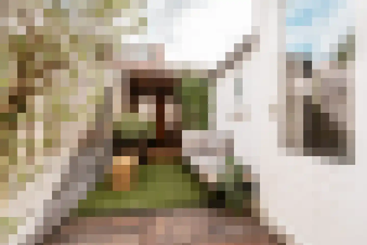 Bankastraat 20 Haarlem thumbnail 17